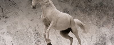 furia