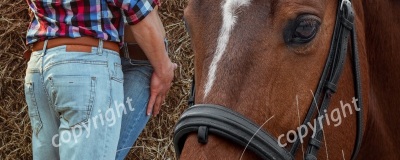 le-cowgirls